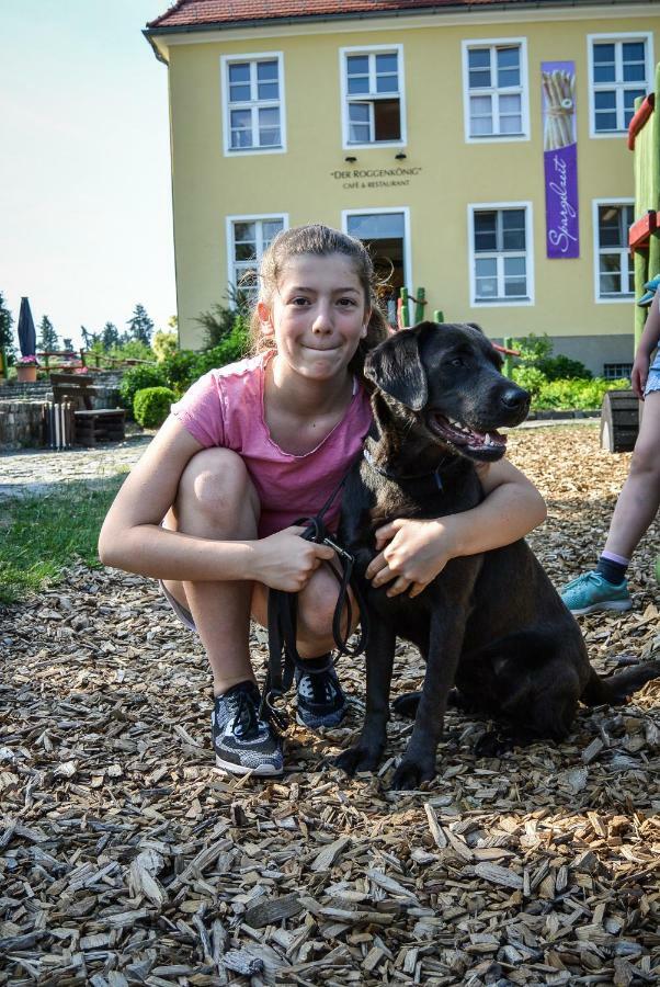 Familien- Und Freizeithotel Gutshaus Petkus Екстериор снимка